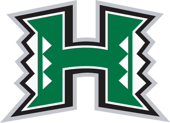 Hawaii Warriors 1998-Pres Primary Logo DIY iron on transfer (heat transfer)